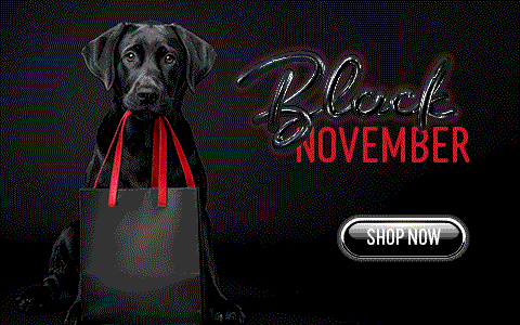 Black November: Hol dir die besten Deals und Gutscheine! Black November: Hol dir die besten Deals und Gutscheine!