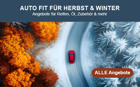 Exklusives Herbst-Special: Gutscheine & Cashback sichern!