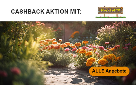 Herbst Cashback-Aktion: Bis zu 7% Cashback + bis zu 10 € BALDUR Gutschein!