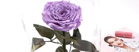 Entdecke das perfekte Präsent: Verschenke echte Rosen, die jahrelang ihren Charme bewahren!