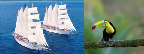 Costa Rica & Nicaragua oder Panama - Rundreise & Segelkreuzfahrt: Ab 3999€ pro Person