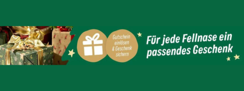 Weihnachtsgeschenk sichern: Gefriergetrockneter Katzensnack in Herzform GRATIS