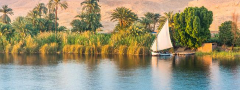 Ägypten Reise: Nilkreuzfahrt & Palm Beach Hotel- VP ab 949€