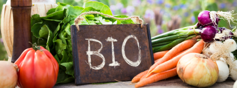 Motatos Gutschein: Bis zu 81% Rabatt auf Bio-Produkte