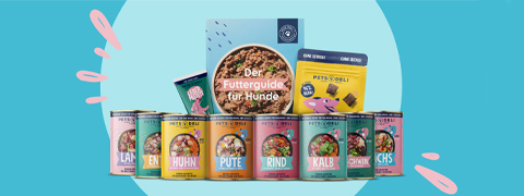 Bis zu 38% sparen mit dem Pets Deli Gutschein für Hundepakete
