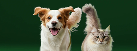 Tierischer Valentinstag bei Fressnapf!