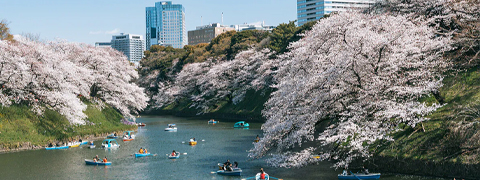 Mindestens 10% Ersparnis sichern mit dem Hotels.com Gutschein