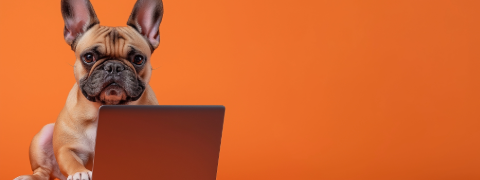 20% Fressnapf Gutschein auf das gesamte Dogs Creek Sortiment