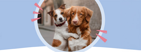 10€ Pets Deli Gutschein für dich und deine Freunde