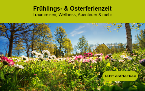 Die besten Reise-Deals für deine Frühlingsferien 2025! Die besten Reise-Deals für deine Frühlingsferien 2025!